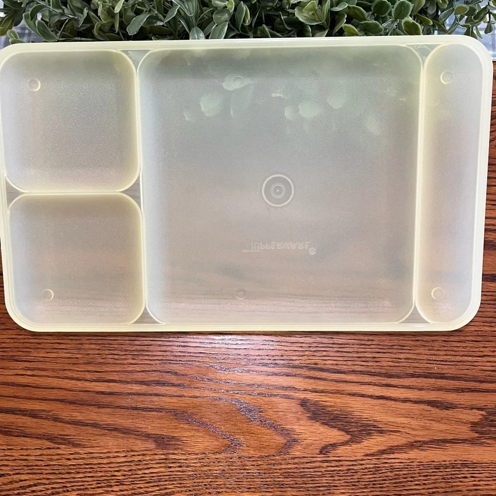 Tupperware Classic Divided Picnic Camping‎ Trays Set of 4 Multicolor #1535